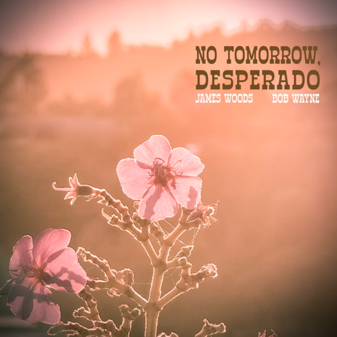 No Tomorrow, Desperado